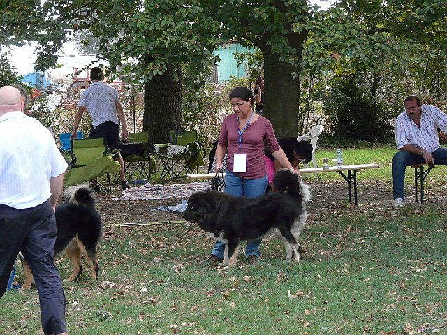 img 114.jpg